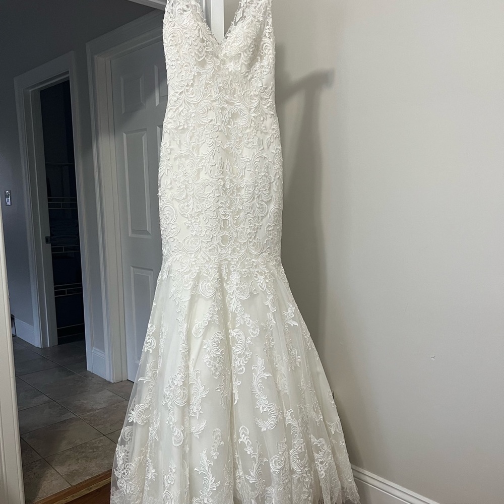 Allure Bridal - Picture 8 of 11